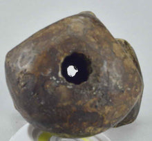 MC1841 Statue Kakulu Ka Mpito LEGA Culte du Bwami Figure Congo Rdc