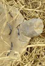 VENDU / SOLD ! MC1997 Superbe masque heaume à l'oiseau SUKU Bird Helmet Mask