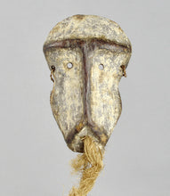 MC1580 Joli Masque Lukwakongo Sa Luzelu Lega Bwami Mask Congo RDC