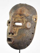 MC1077 Large Lega Cult Mask of Bwami Congo DRC Bwami Cult Mask